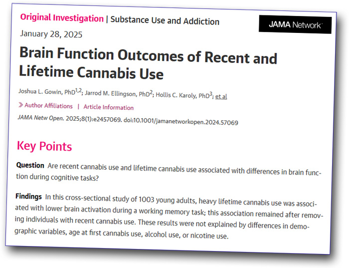 Impacto del consumo intensivo de cannabis en la función cerebral