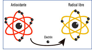 Estres Oxidativo