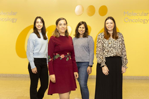 De izq. a der.: Beatriz Cicuéndez, Guadalupe Sabio, Marta León y Cintia Folgueira. Crédito: Laura M. Lombardía / CNIO.