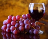 Resveratrol: la molcula de accin antiaging